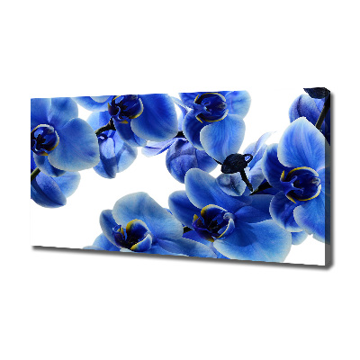 Cuadro canvas con impresión uv duradera horizontal Orquídea azul