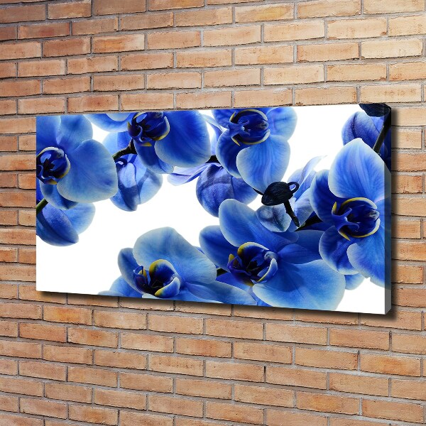 Cuadro canvas con impresión uv duradera horizontal Orquídea azul
