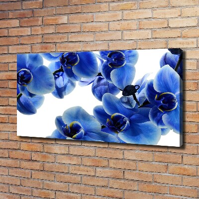 Cuadro canvas con impresión uv duradera horizontal Orquídea azul
