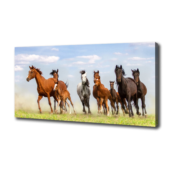 Cuadro canvas moderno de gran formato horizontal Caballos al galope