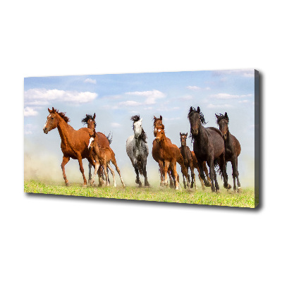 Cuadro canvas moderno de gran formato horizontal Caballos al galope