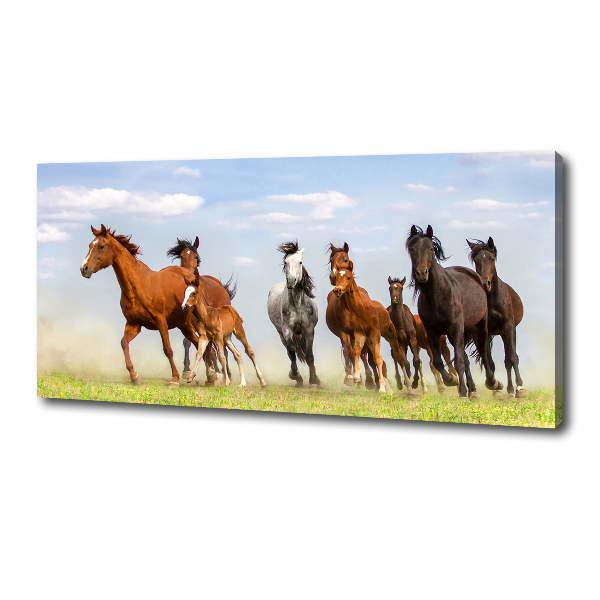 Cuadro canvas moderno de gran formato horizontal Caballos al galope