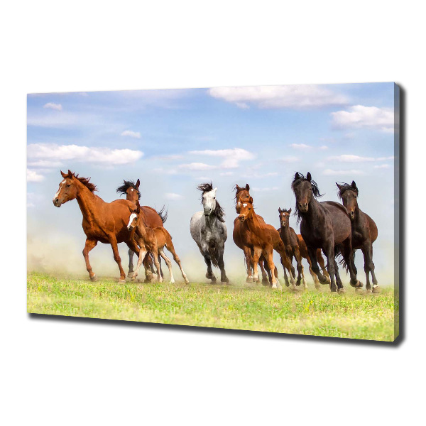 Cuadro canvas moderno de gran formato horizontal Caballos al galope