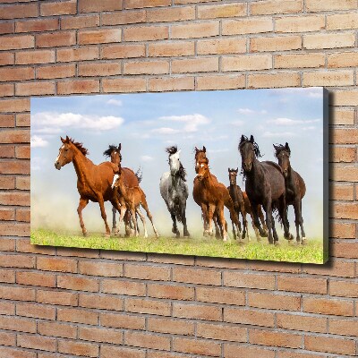 Cuadro canvas moderno de gran formato horizontal Caballos al galope