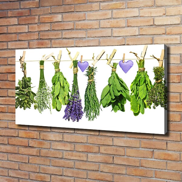 Foto obraz na płótnie Zioła na sznurku