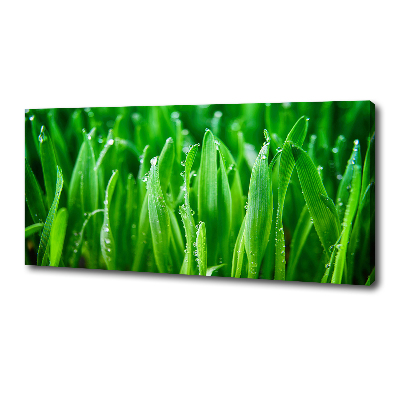 Fotocuadro en lienzo de alta calidad horizontal Césped
