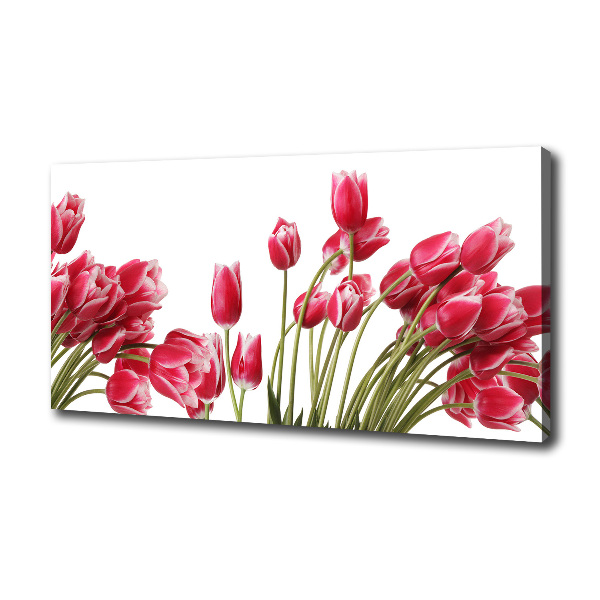 Cuadro canvas con impresión uv duradera horizontal tulipanes rojos