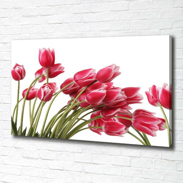 Cuadro canvas con impresión uv duradera horizontal tulipanes rojos
