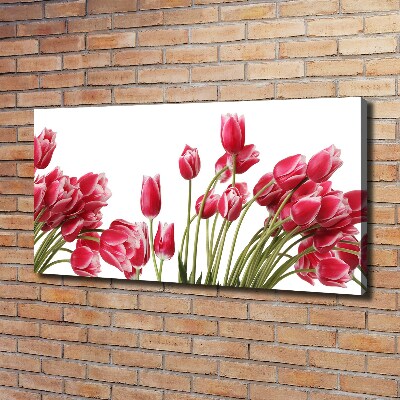 Cuadro canvas con impresión uv duradera horizontal tulipanes rojos