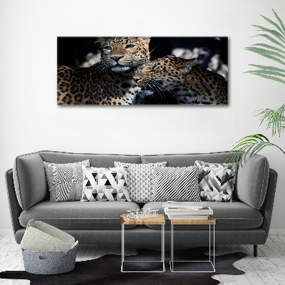 Foto en lienzo con acabado profesional horizontal Dos leopardos