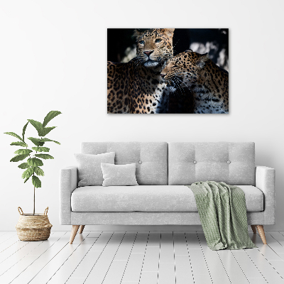 Foto en lienzo con acabado profesional horizontal Dos leopardos