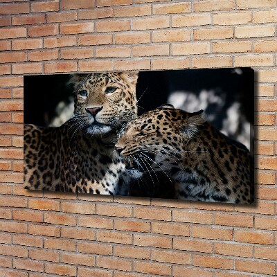 Foto en lienzo con acabado profesional horizontal Dos leopardos