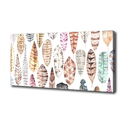 Cuadro canvas moderno de gran formato horizontal Plumas de colores