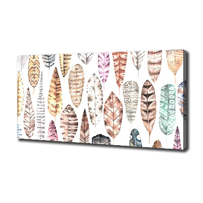 Cuadro canvas moderno de gran formato horizontal Plumas de colores
