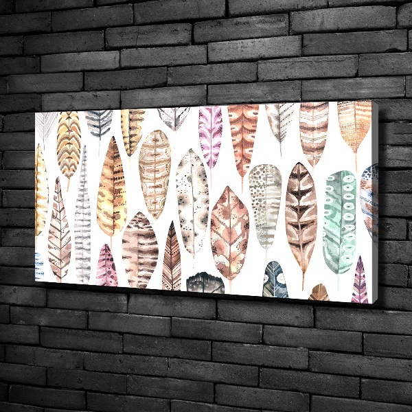 Cuadro canvas moderno de gran formato horizontal Plumas de colores