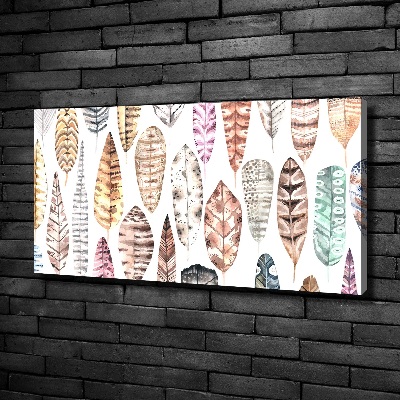 Cuadro canvas moderno de gran formato horizontal Plumas de colores