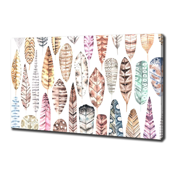 Cuadro canvas moderno de gran formato horizontal Plumas de colores