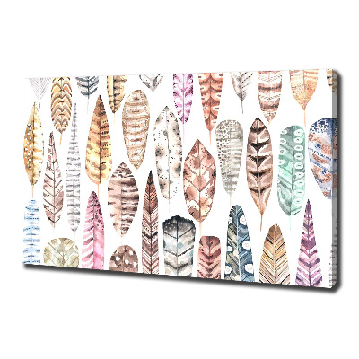 Cuadro canvas moderno de gran formato horizontal Plumas de colores