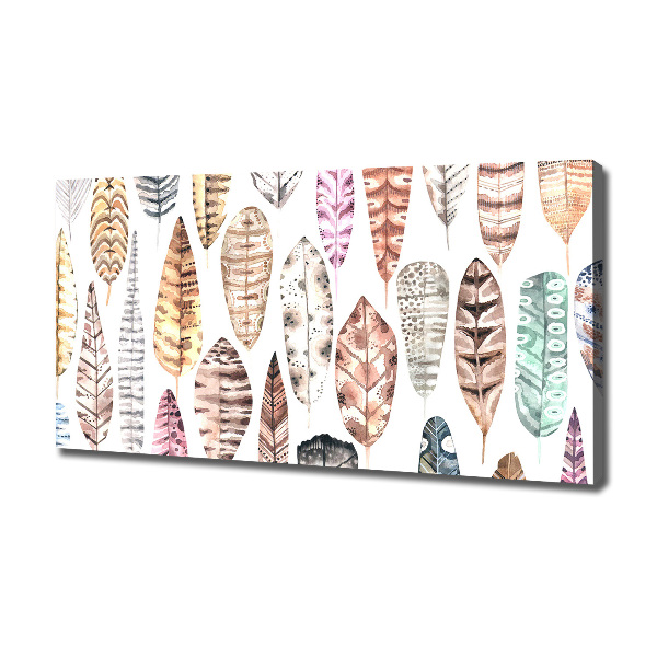 Cuadro canvas moderno de gran formato horizontal Plumas de colores