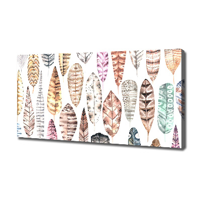 Cuadro canvas moderno de gran formato horizontal Plumas de colores