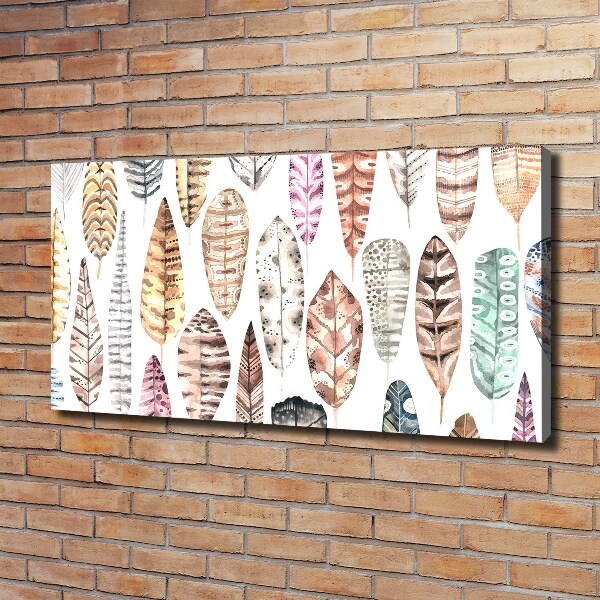 Cuadro canvas moderno de gran formato horizontal Plumas de colores