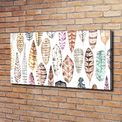 Cuadro canvas moderno de gran formato horizontal Plumas de colores