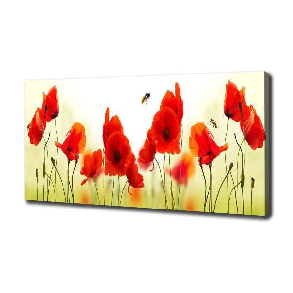 Cuadro canvas moderno de gran formato horizontal Amapolas