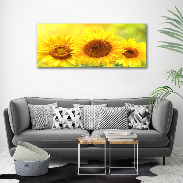 Foto en lienzo con acabado profesional horizontal Girasoles