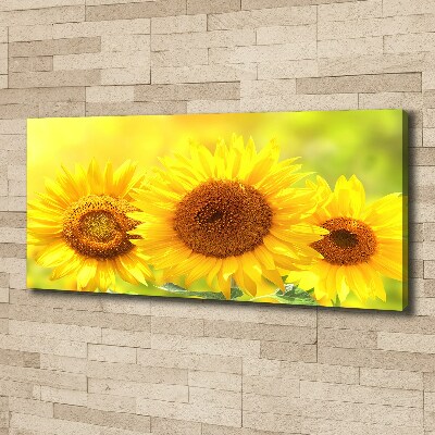 Foto en lienzo con acabado profesional horizontal Girasoles