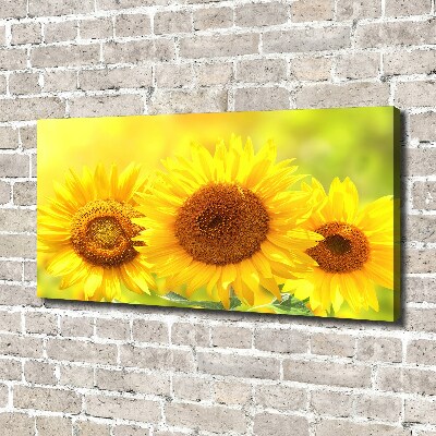 Foto en lienzo con acabado profesional horizontal Girasoles