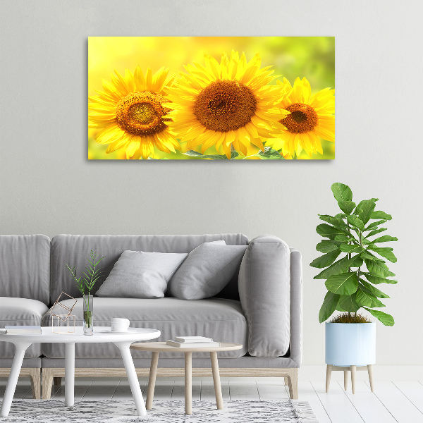 Foto en lienzo con acabado profesional horizontal Girasoles