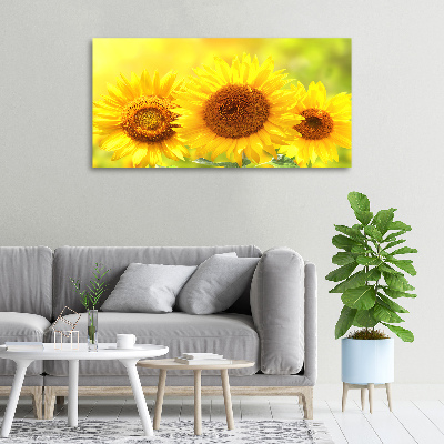 Foto en lienzo con acabado profesional horizontal Girasoles