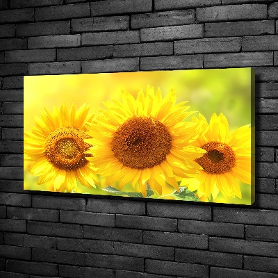 Foto en lienzo con acabado profesional horizontal Girasoles