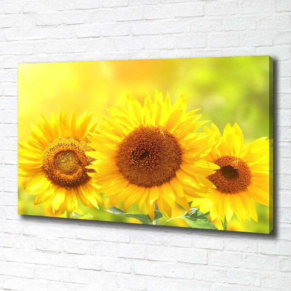 Foto en lienzo con acabado profesional horizontal Girasoles