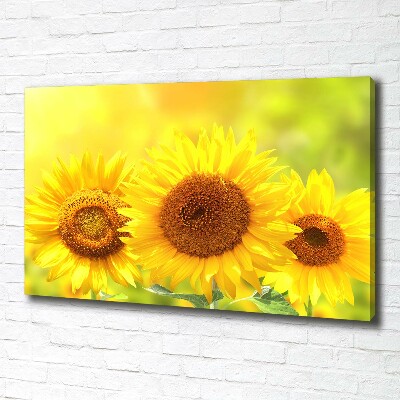 Foto en lienzo con acabado profesional horizontal Girasoles