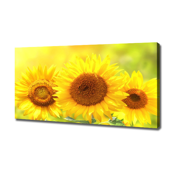 Foto en lienzo con acabado profesional horizontal Girasoles