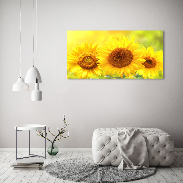 Foto en lienzo con acabado profesional horizontal Girasoles