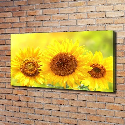 Foto en lienzo con acabado profesional horizontal Girasoles