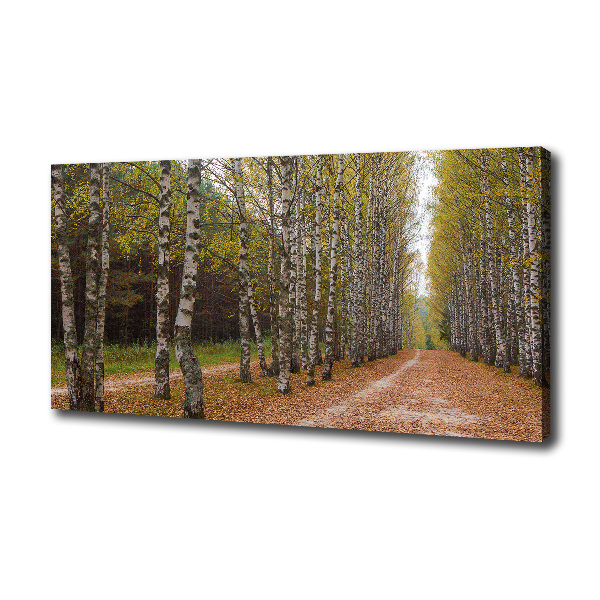 Cuadro canvas con impresión uv duradera horizontal Avenida Birch