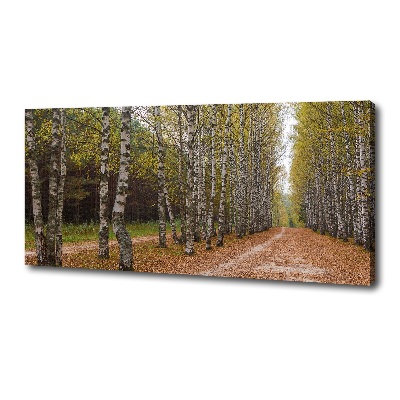 Cuadro canvas con impresión uv duradera horizontal Avenida Birch