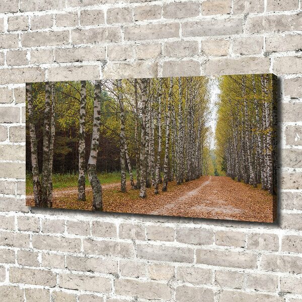 Cuadro canvas con impresión uv duradera horizontal Avenida Birch