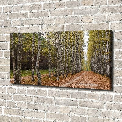 Cuadro canvas con impresión uv duradera horizontal Avenida Birch