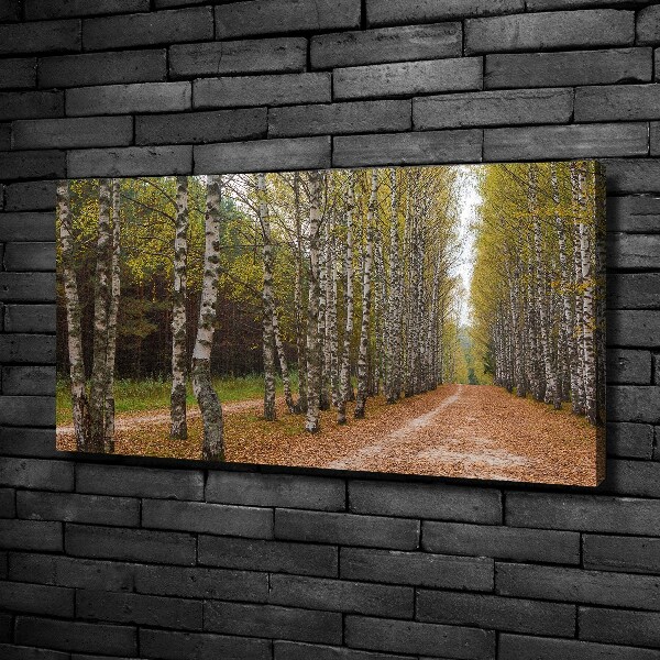 Cuadro canvas con impresión uv duradera horizontal Avenida Birch