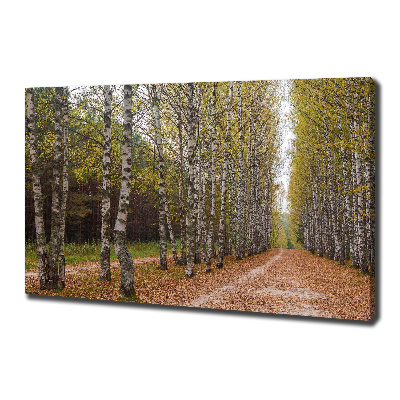 Cuadro canvas con impresión uv duradera horizontal Avenida Birch