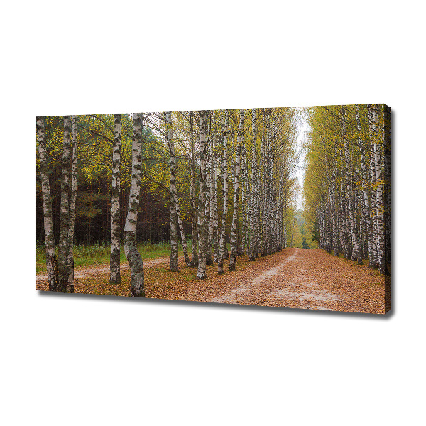Cuadro canvas con impresión uv duradera horizontal Avenida Birch