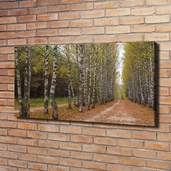 Cuadro canvas con impresión uv duradera horizontal Avenida Birch