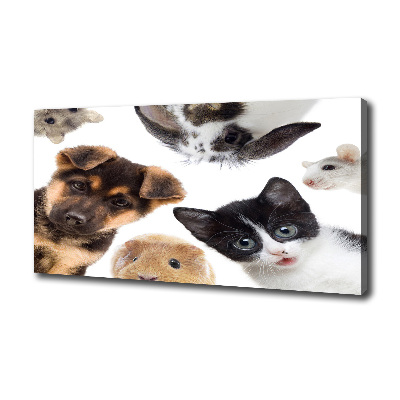 Cuadro canvas con impresión uv duradera horizontal Mascotas