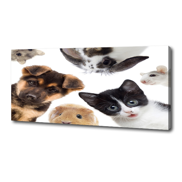 Cuadro canvas con impresión uv duradera horizontal Mascotas