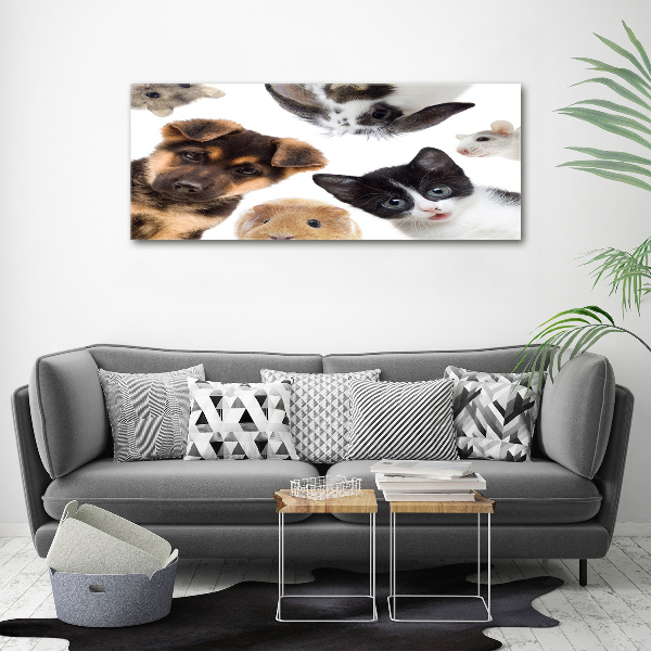 Cuadro canvas con impresión uv duradera horizontal Mascotas