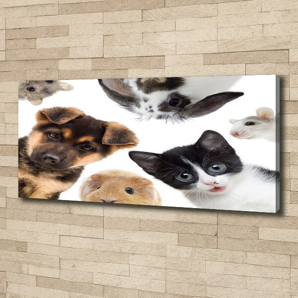 Cuadro canvas con impresión uv duradera horizontal Mascotas